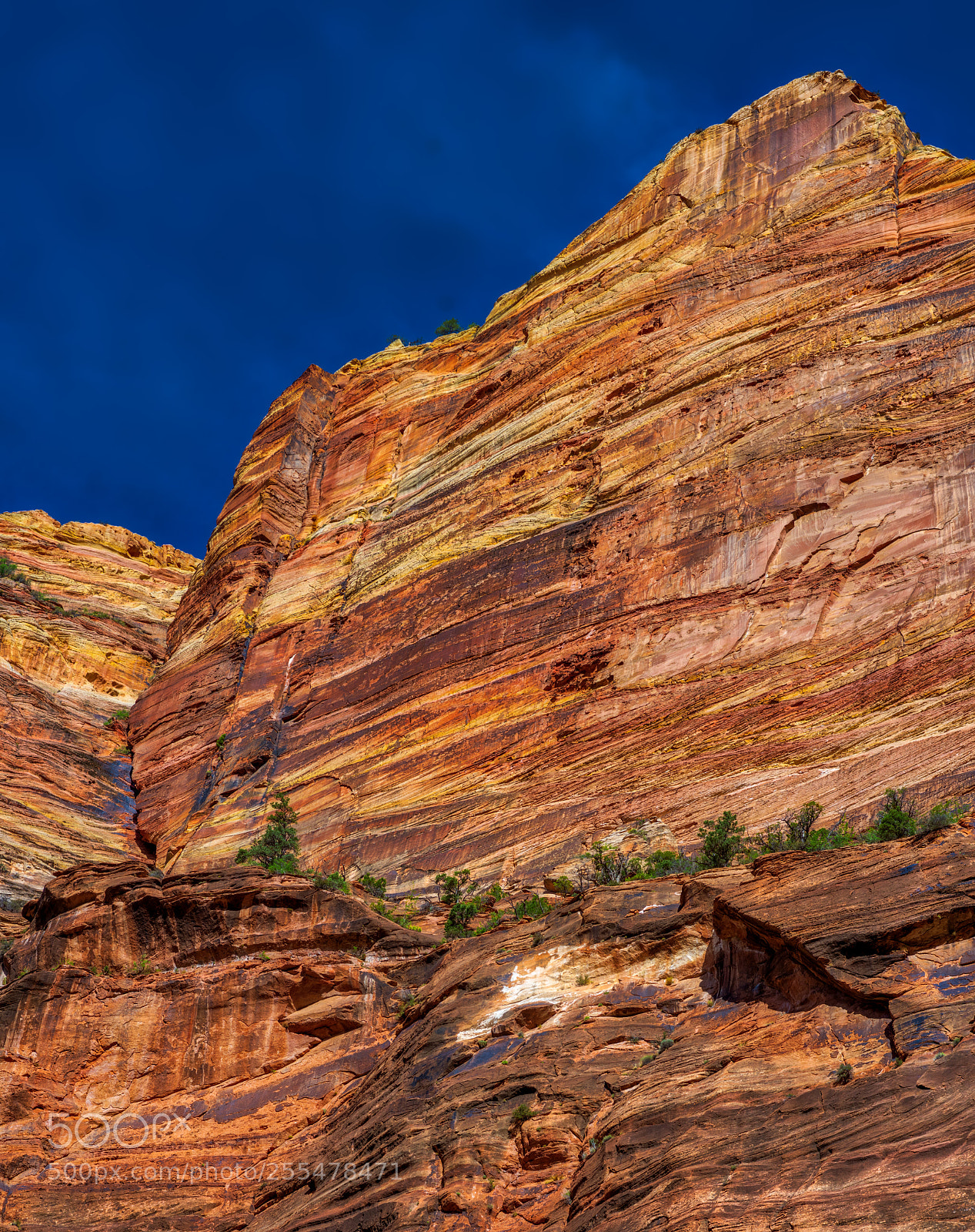Pentax K-3 II sample photo. Zion national park photography