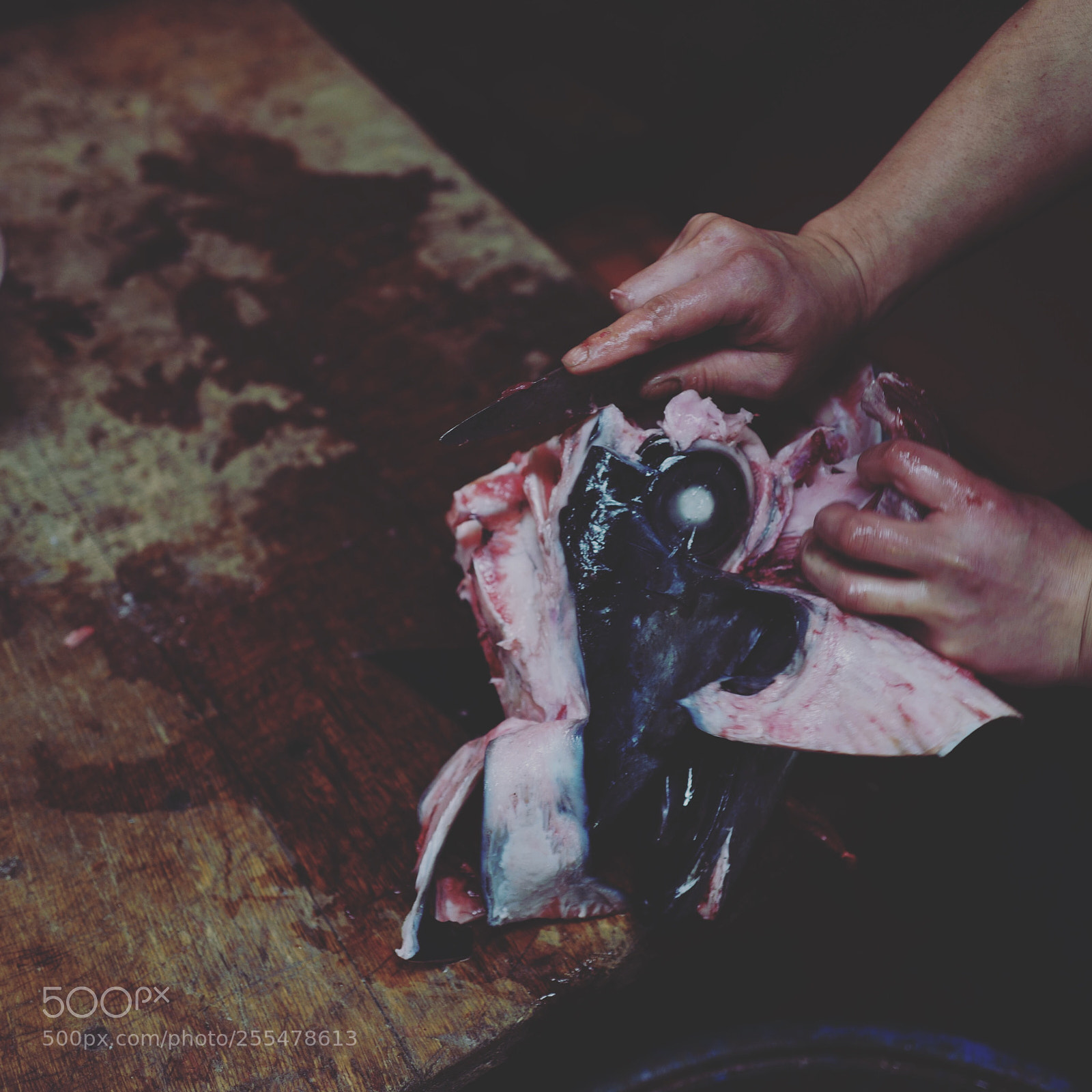 Leica Q (Typ 116) sample photo. Tsukiji photography