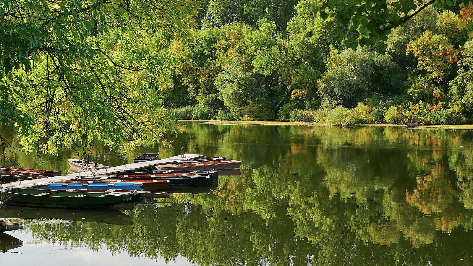 Panasonic Lumix DMC-GX85 (Lumix DMC-GX80 / Lumix DMC-GX7 Mark II) sample photo. On the water photography