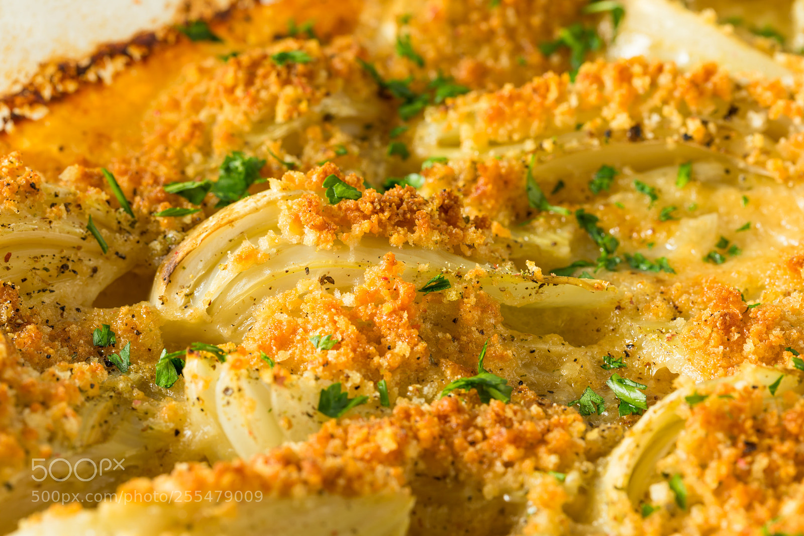 Canon EOS 5D Mark IV sample photo. Homemade cheesy fennel gratin photography