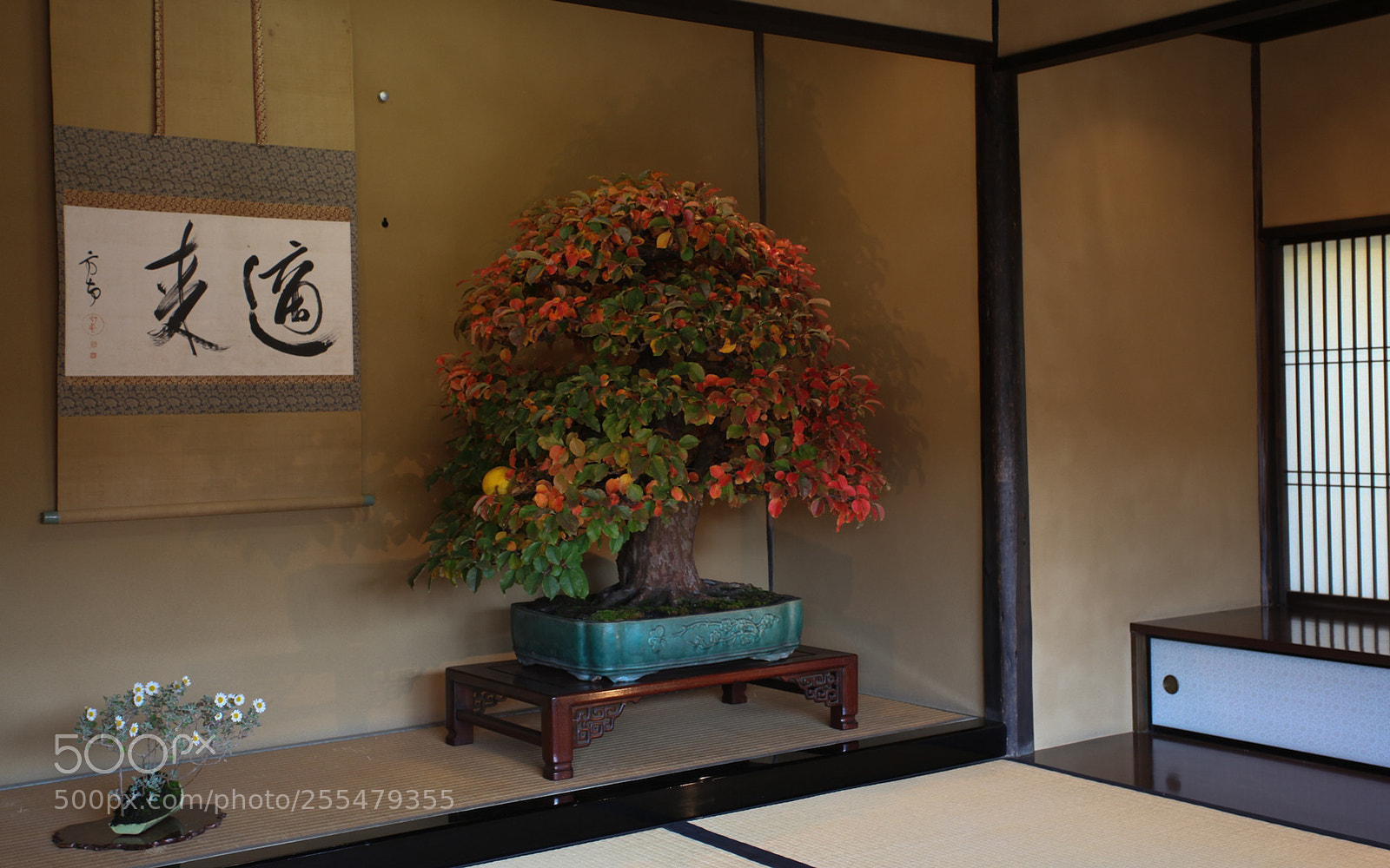 Canon EOS 5D Mark II sample photo. Park in tokyo photography
