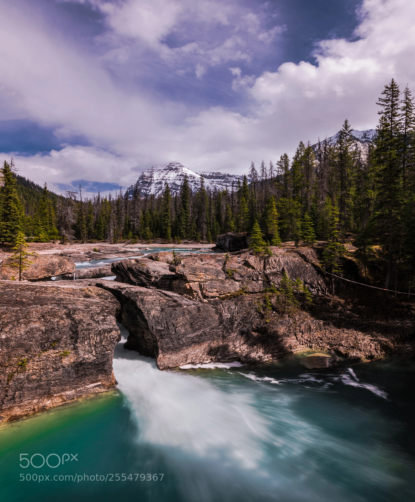 Nikon D810 sample photo. Canadian rockies photography