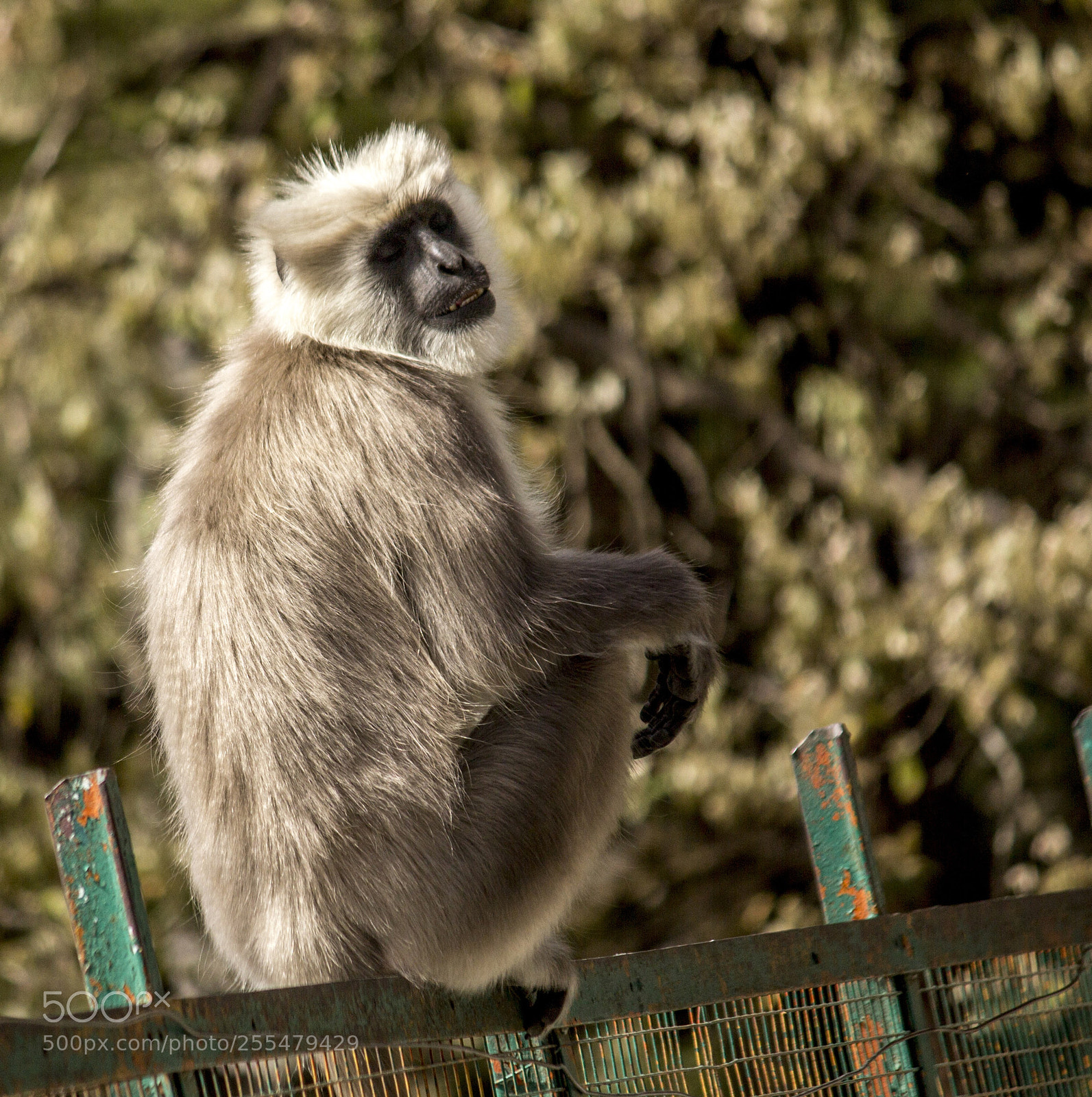 Canon EOS 60D sample photo. Untitled photography