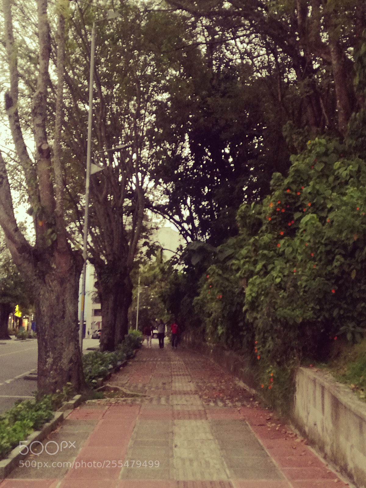 HUAWEI Mate 8 sample photo. Untitled photography