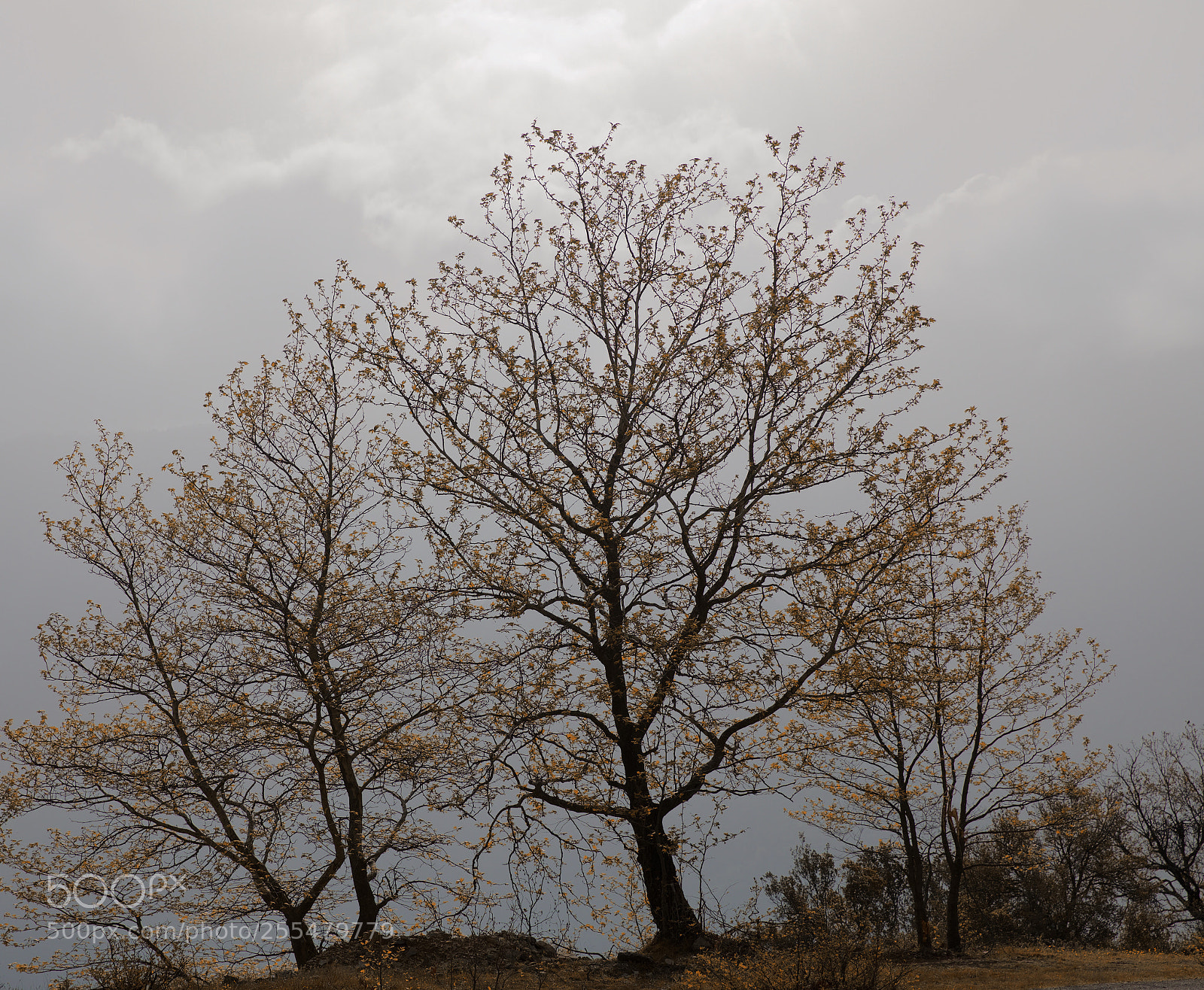 Canon EOS 5D Mark IV sample photo. Atmos photography
