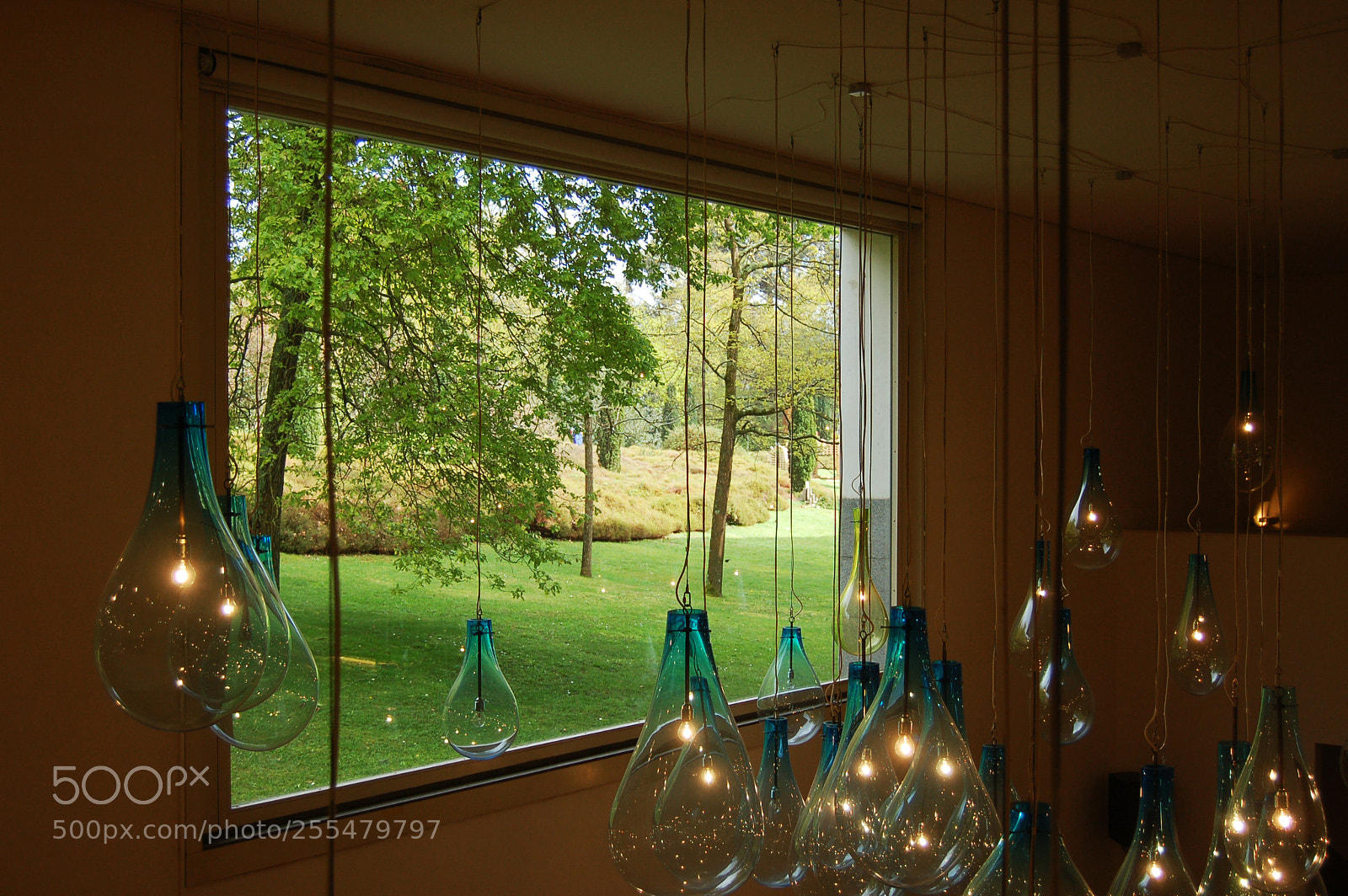 Nikon D50 sample photo. Lights on photography