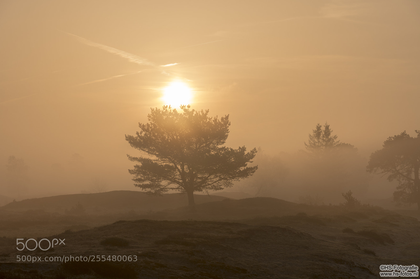 Nikon D500 sample photo. Misty sunrise over a photography