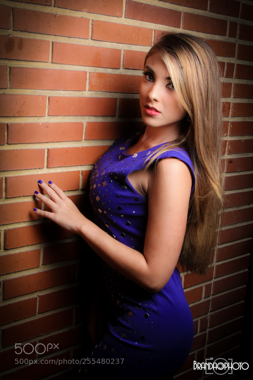 Canon EOS 40D sample photo. Img photography