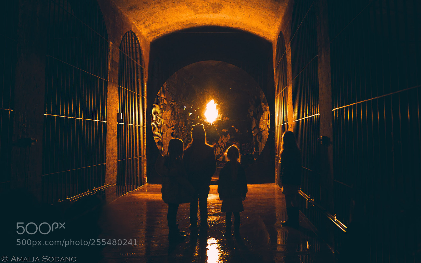 Nikon D610 sample photo. Fire's spirit photography