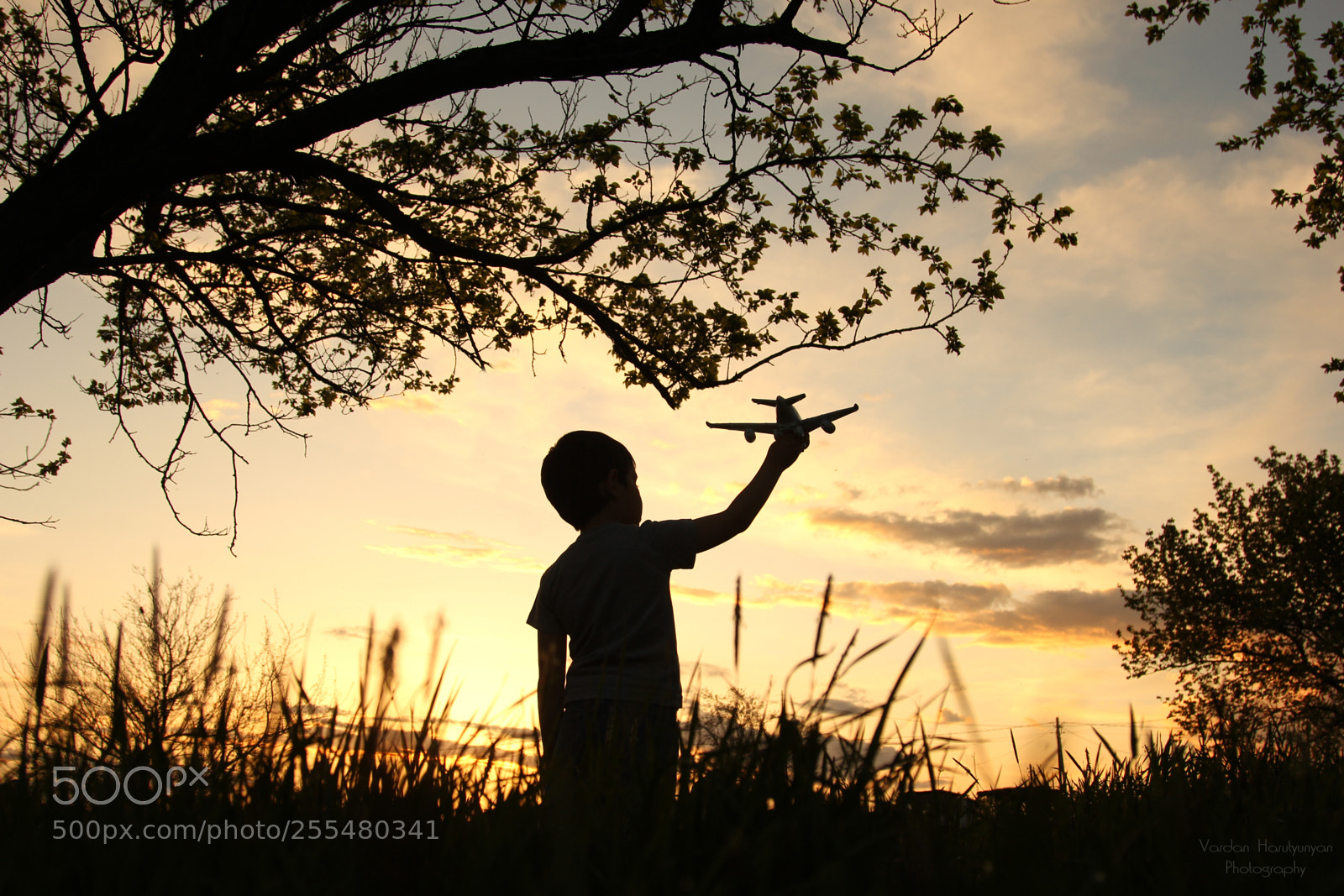 Canon EOS 60D sample photo. Peace photography