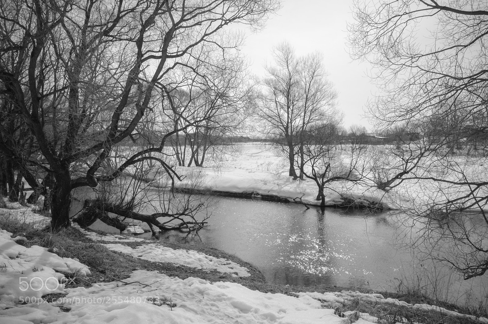 Nikon D300 sample photo. Last snow photography