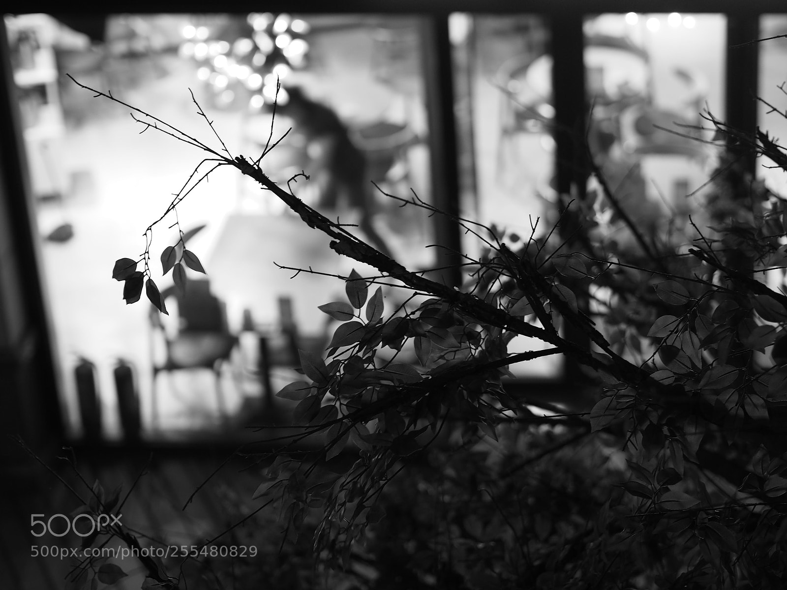 Olympus OM-D E-M10 II sample photo. 闭店打扫 photography