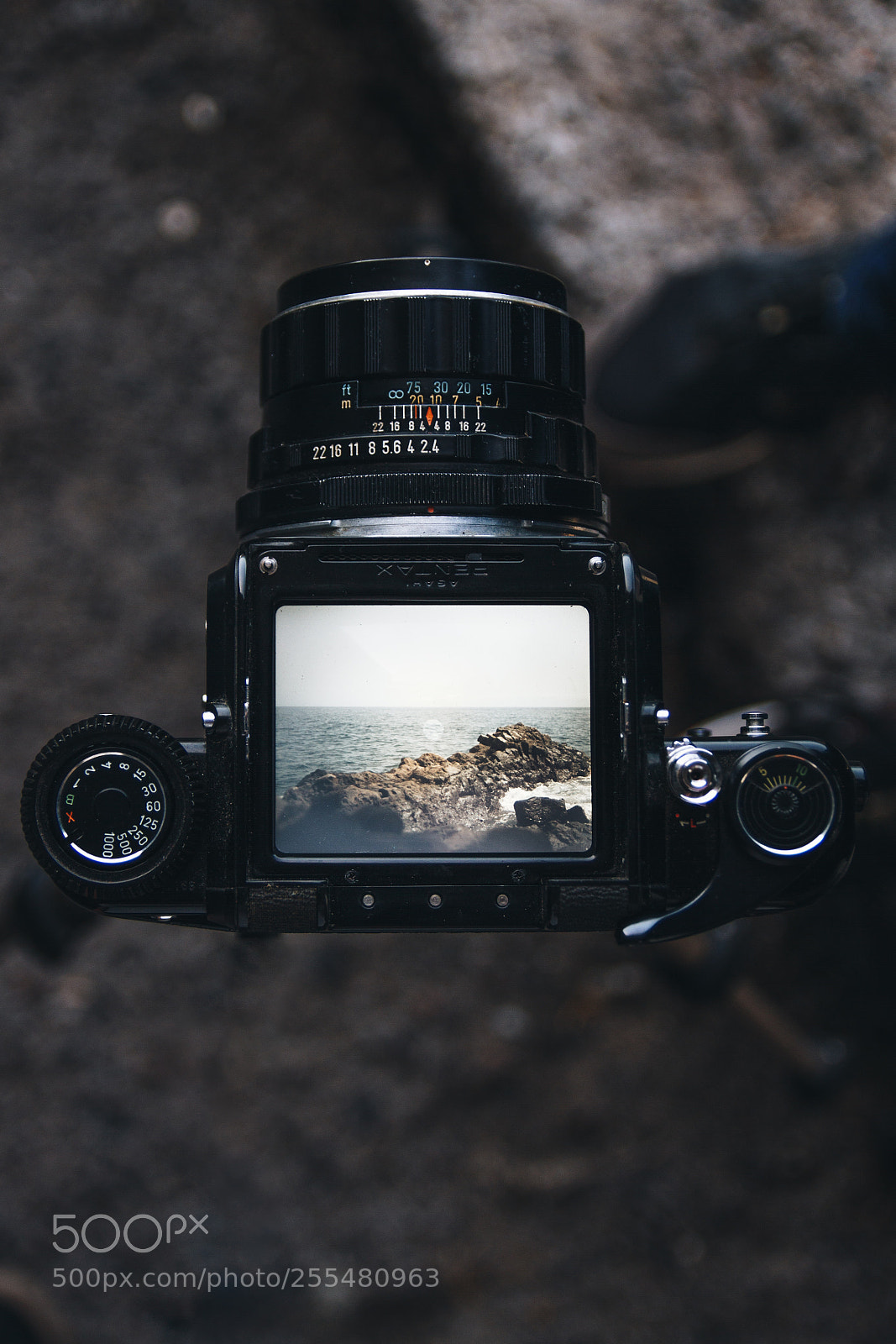 Canon EOS 7D sample photo. Untitled photography