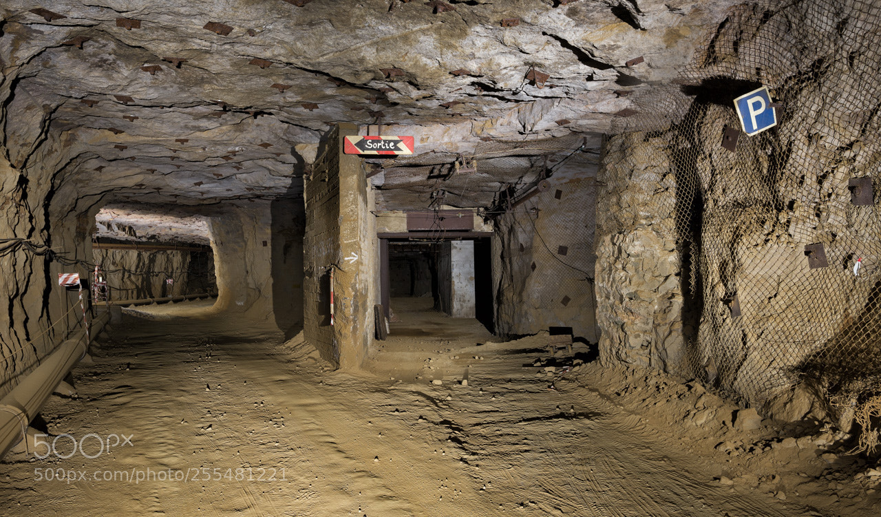 Nikon D600 sample photo. <<<sortie     ou       p photography