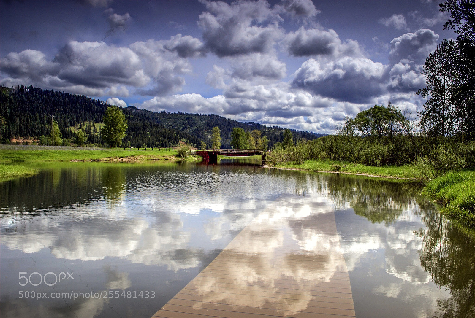 Nikon D60 sample photo. Flooded reflection photography