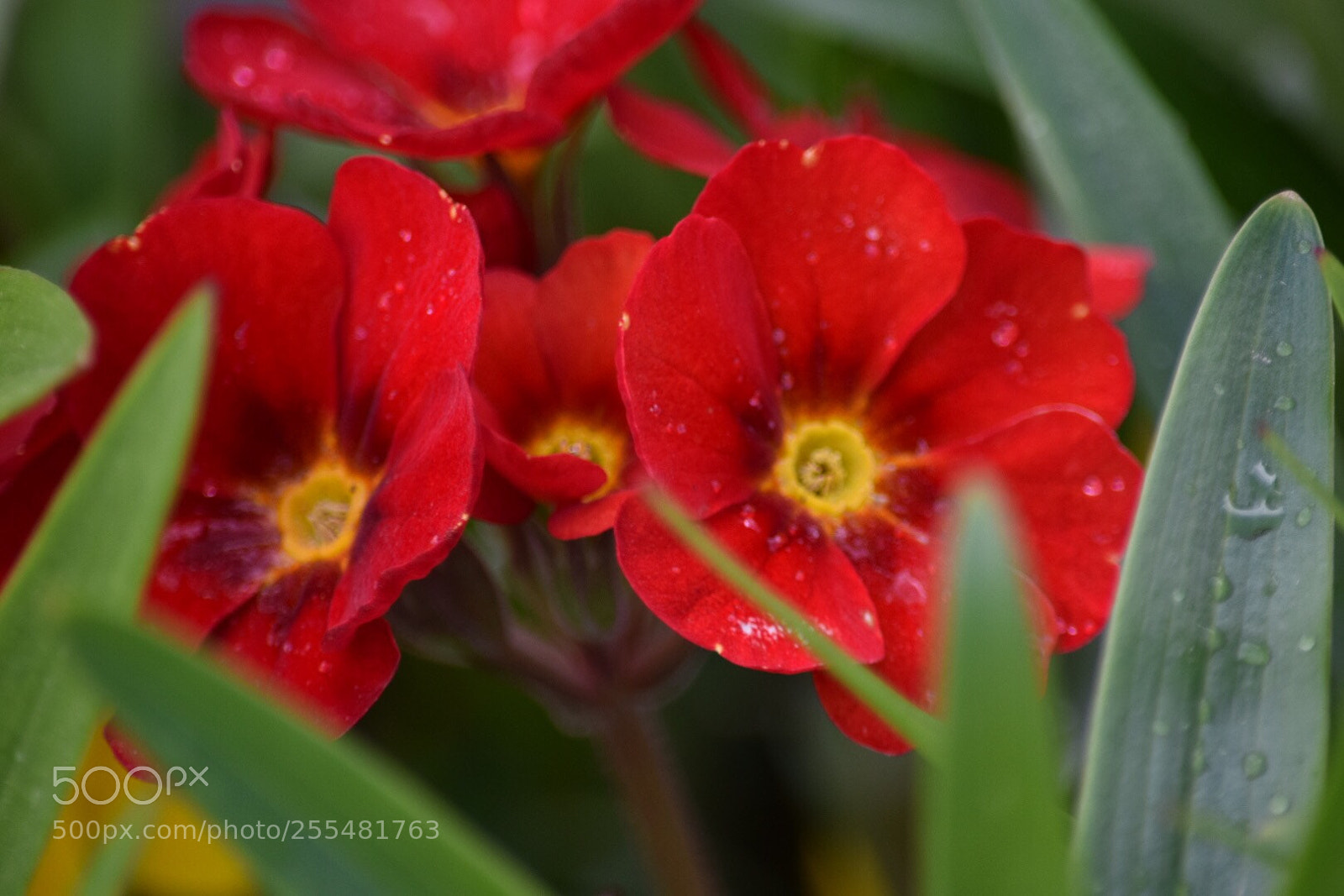 Nikon D5300 sample photo. Untitled photography