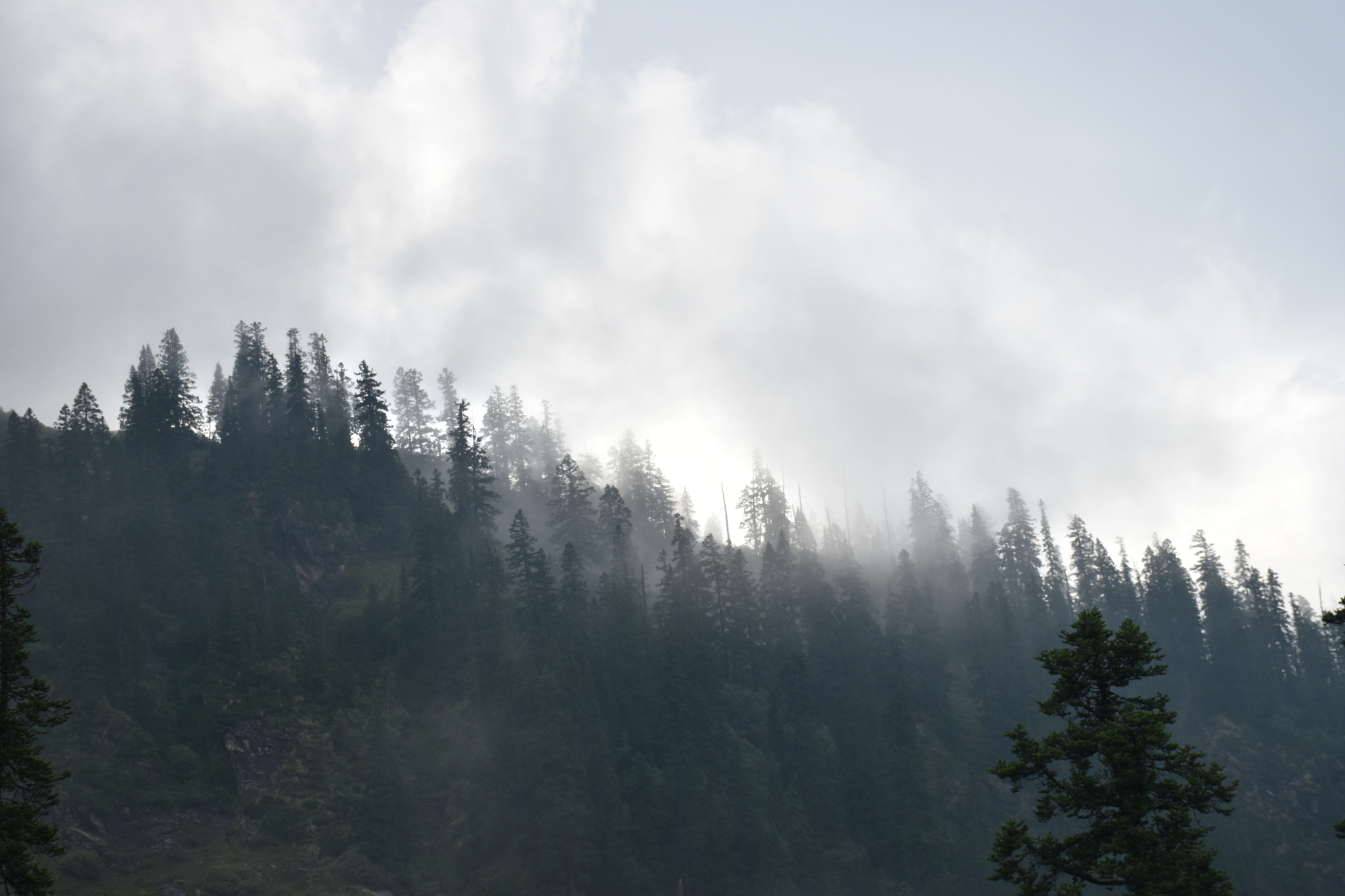 Nikon D5500 sample photo. Foggy winter morning at biskeri camp photography