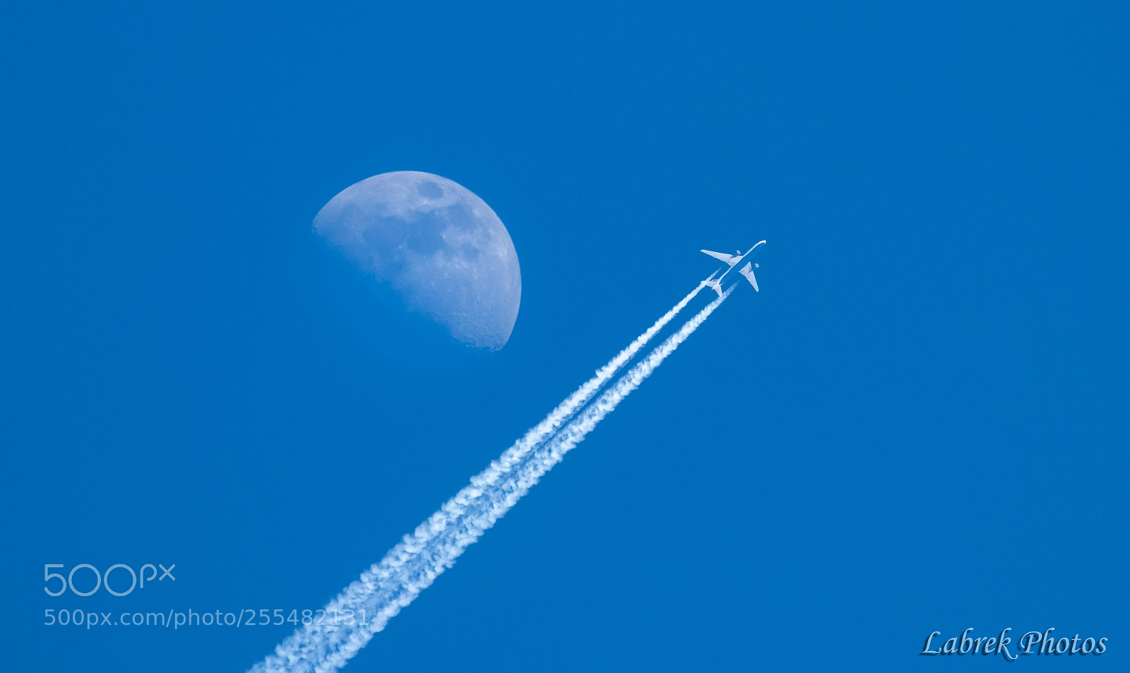 Canon EOS 800D (EOS Rebel T7i / EOS Kiss X9i) sample photo. Flying to the moon photography