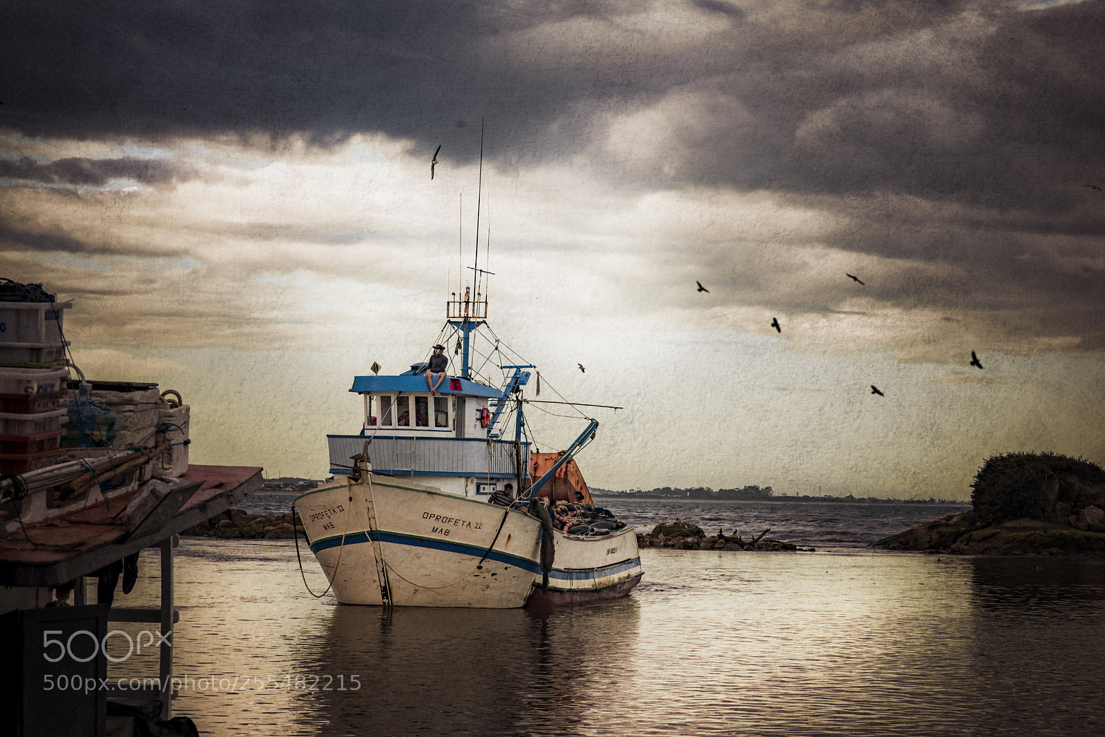 Nikon D610 sample photo. Mercado de peixe photography
