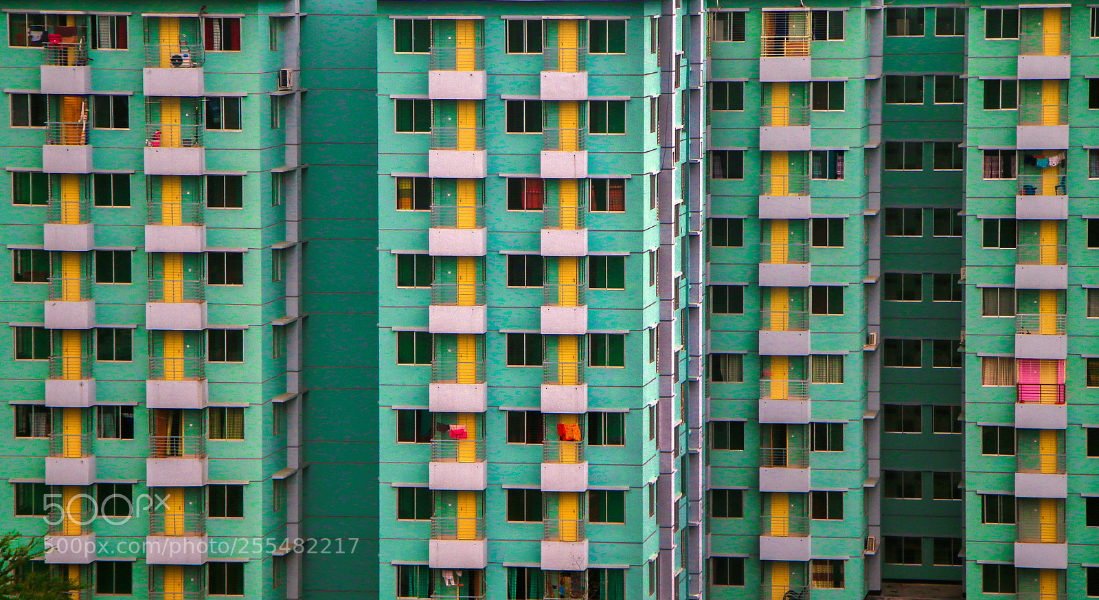 Canon EOS 70D sample photo. Windows photography