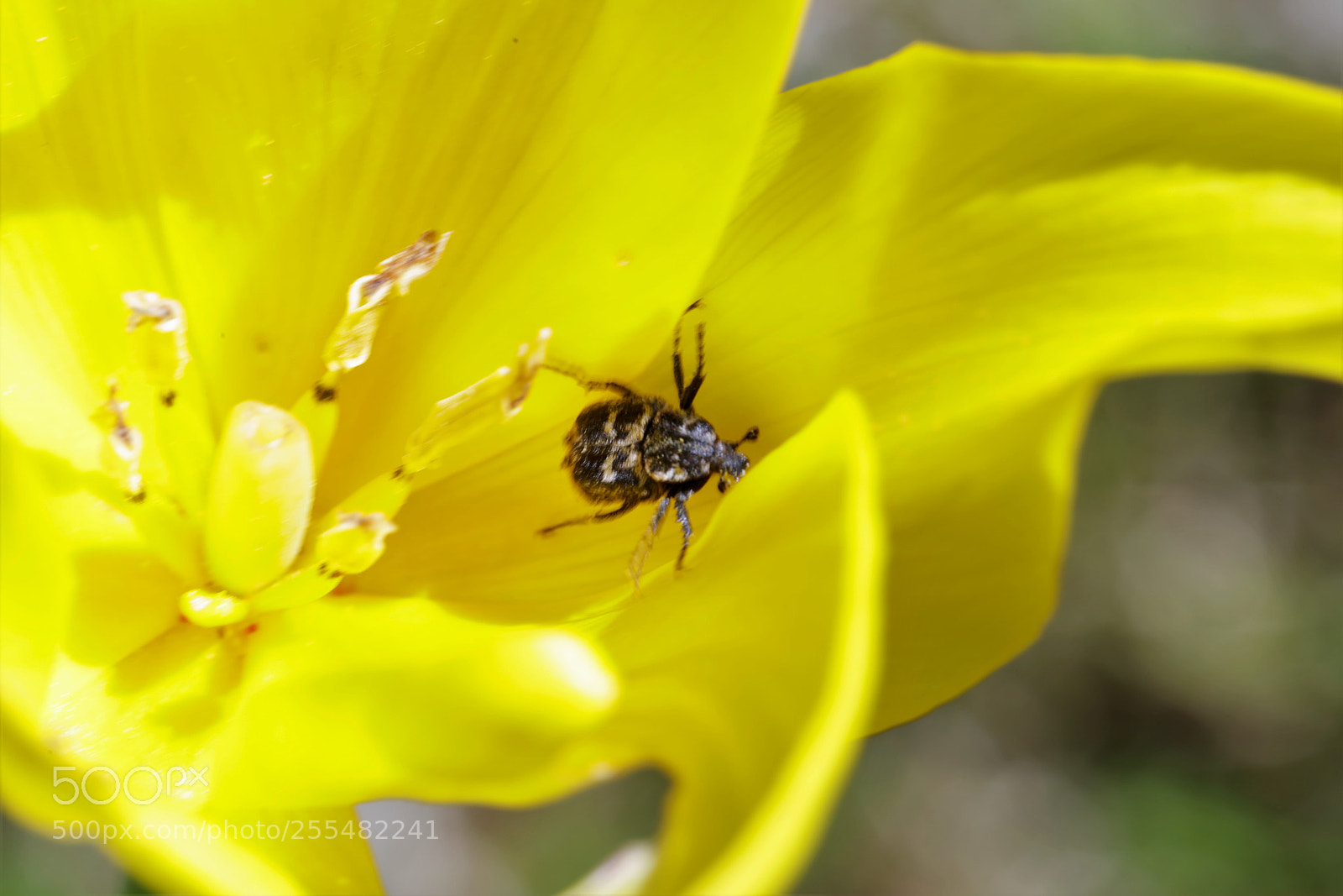 Canon EOS 6D sample photo. Entrapment photography