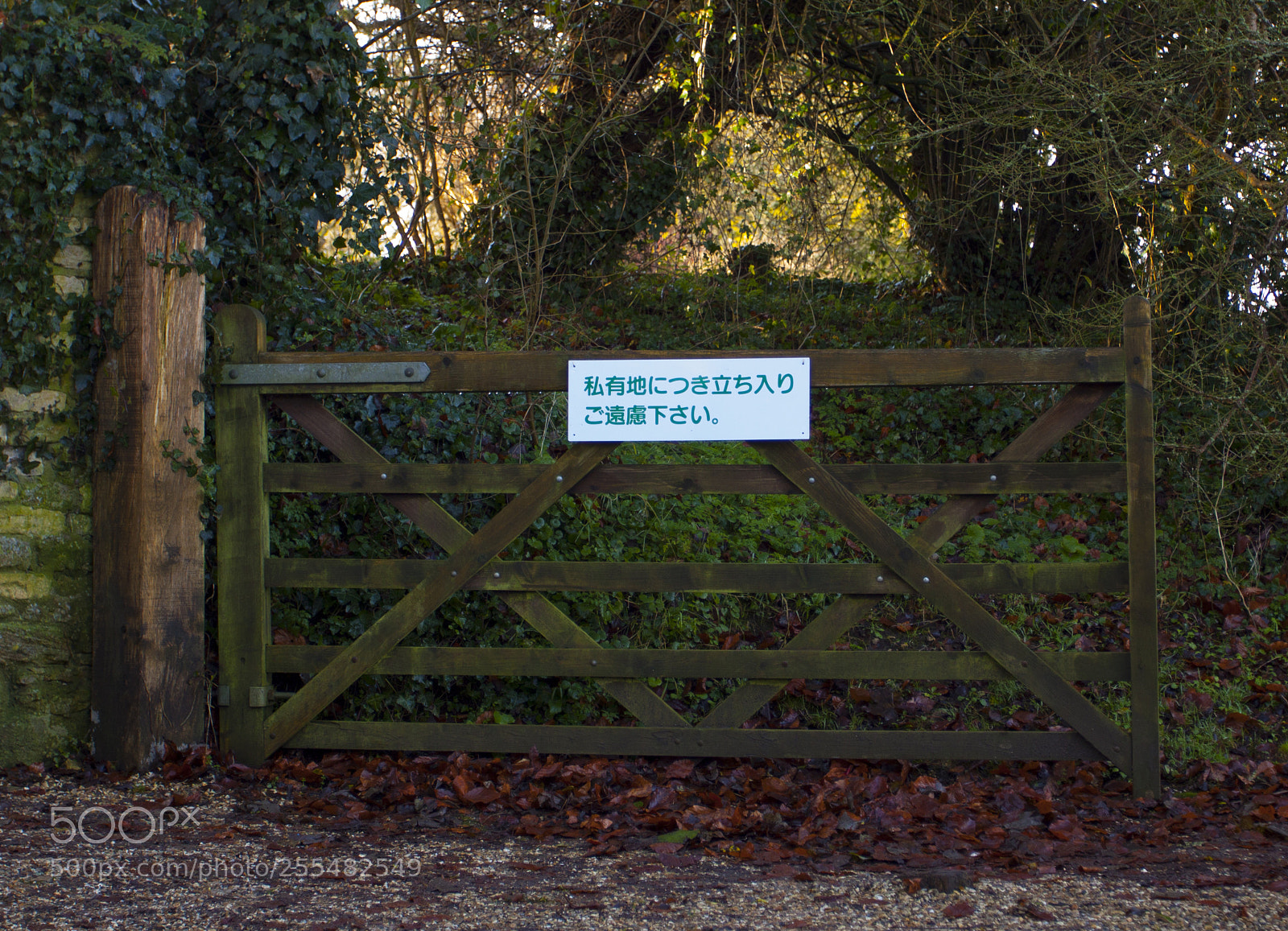 Canon EOS 50D sample photo. Bibury glos photography