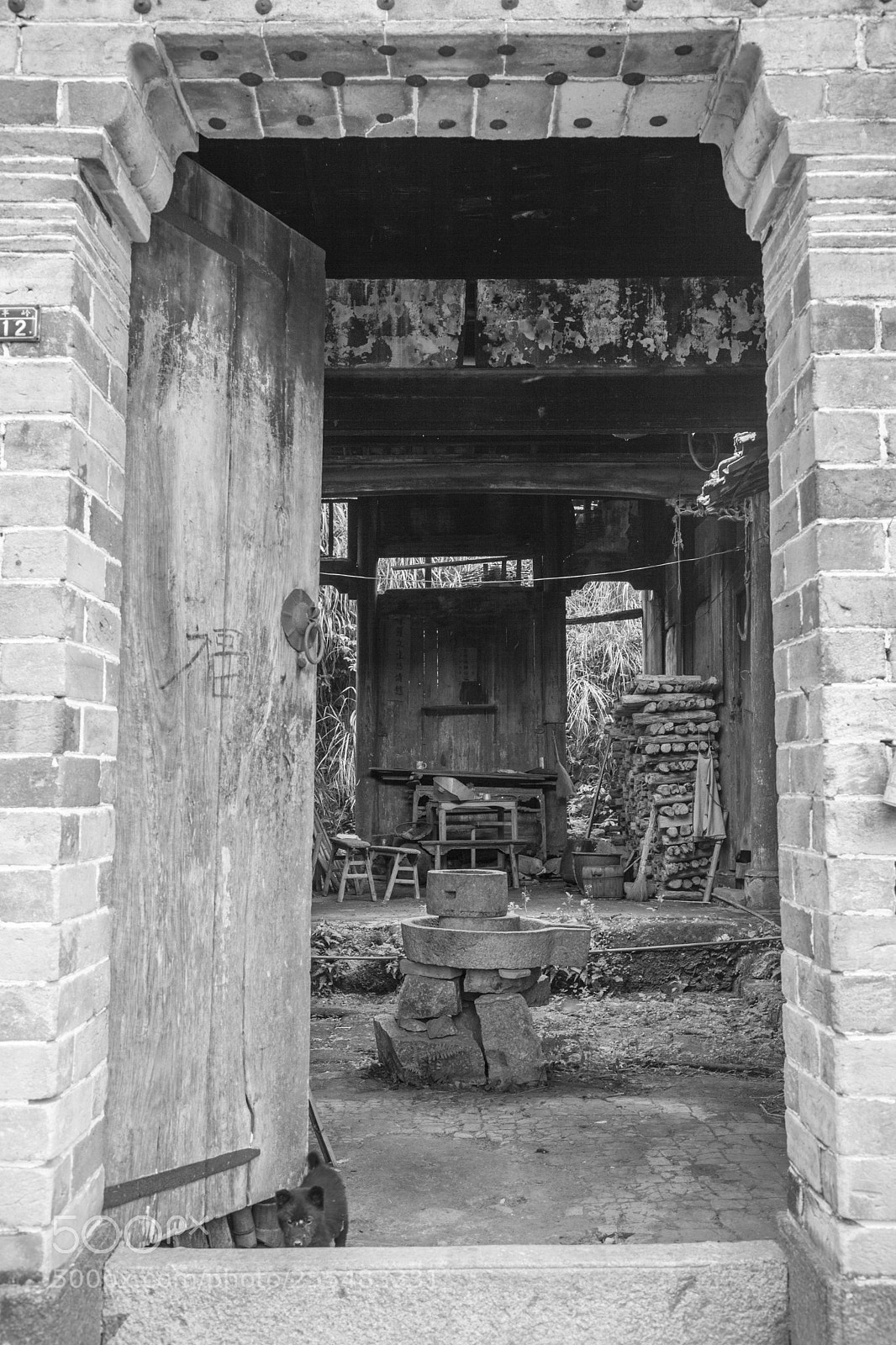 Canon EOS 5D Mark II sample photo. Untitled photography