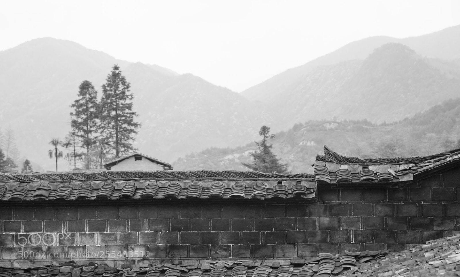 Canon EOS 5D Mark II sample photo. Untitled photography