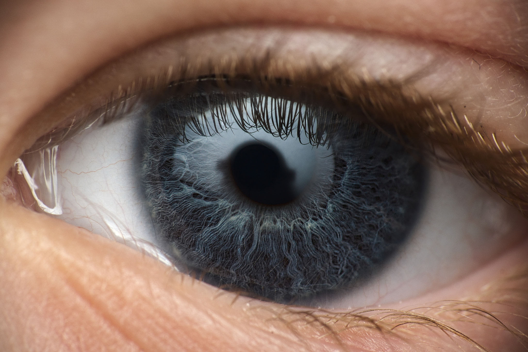 Sony ILCA-77M2 + Sigma 70-300mm F4-5.6 DL Macro sample photo. Blue photography