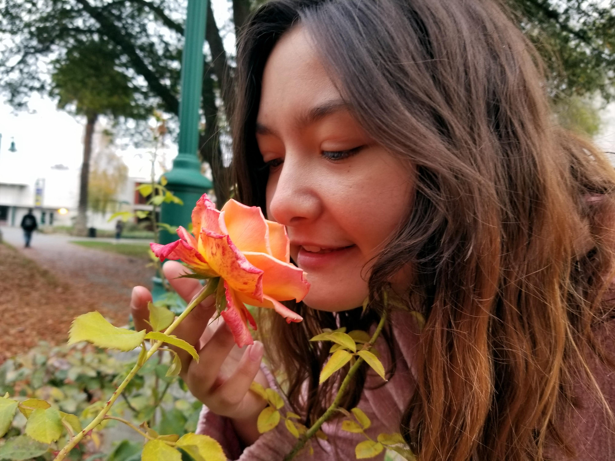 Samsung Galaxy S8 Active sample photo. Rose photography