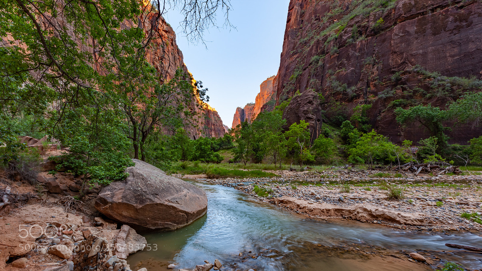 Canon EOS 5D Mark II sample photo. Zion national park photography