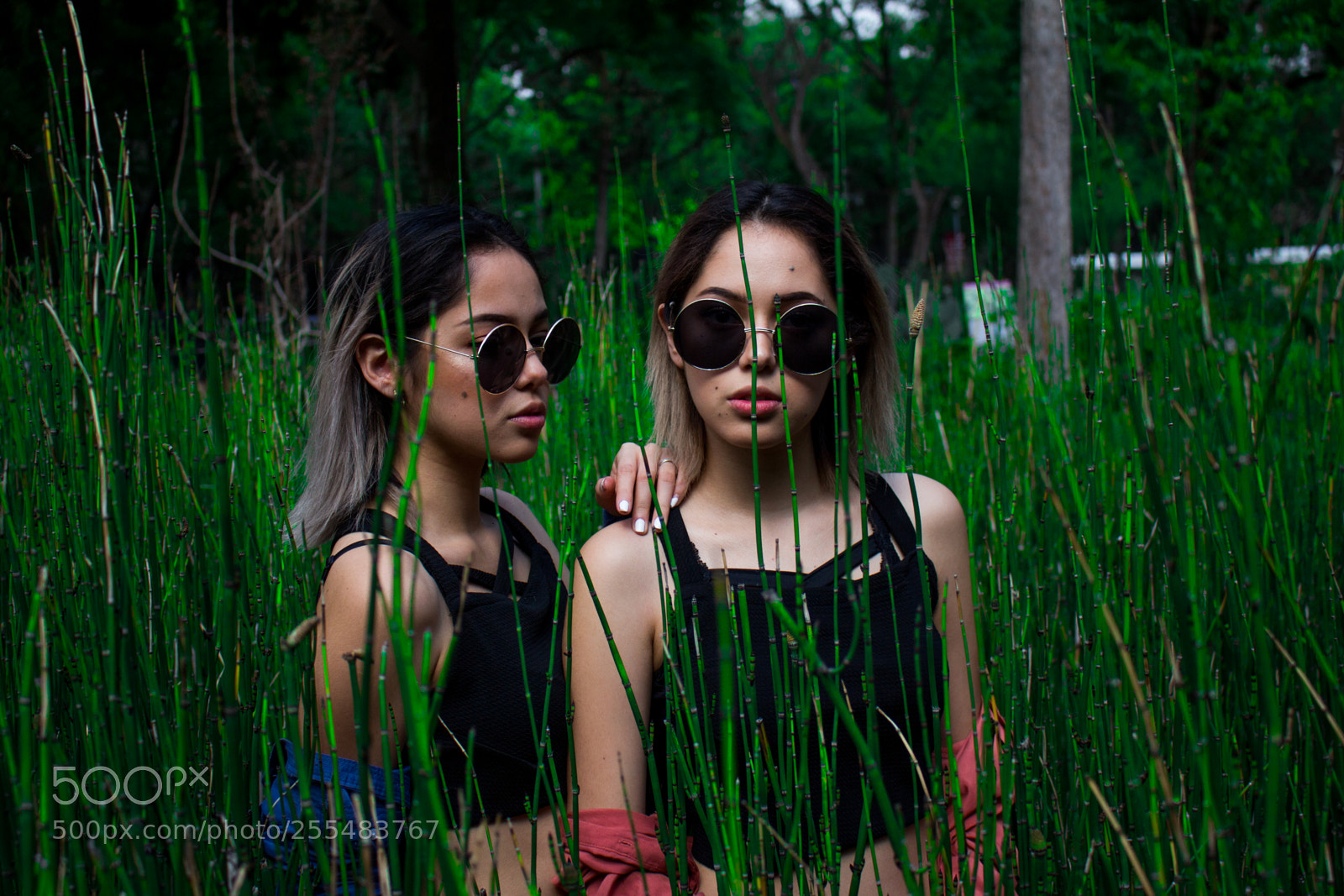 Canon EOS 700D (EOS Rebel T5i / EOS Kiss X7i) sample photo. Beautiful twins among weeds photography