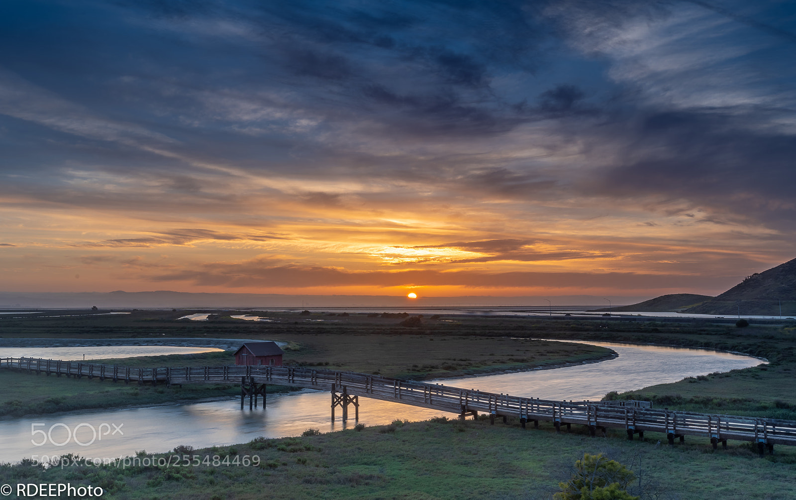 Sony a7 III sample photo. Don edwards sf bay photography