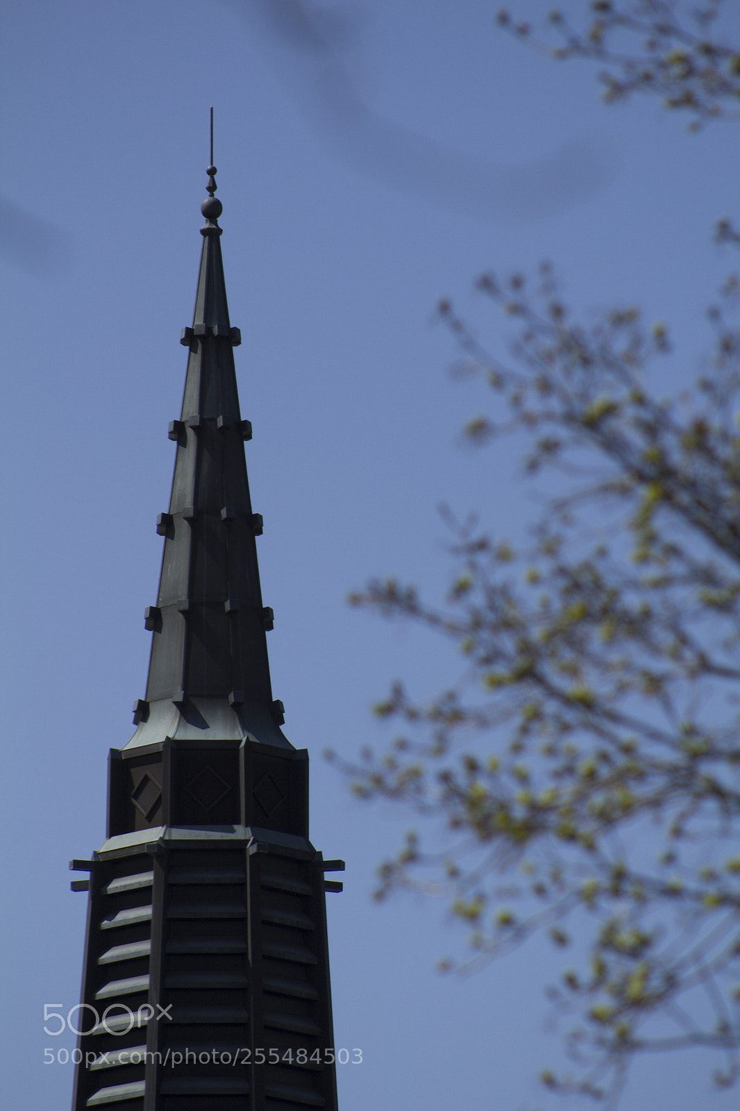 Canon EOS 1200D (EOS Rebel T5 / EOS Kiss X70 / EOS Hi) sample photo. Branches and black steeple photography