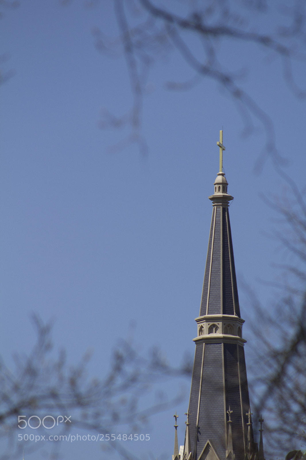 Canon EOS 1200D (EOS Rebel T5 / EOS Kiss X70 / EOS Hi) sample photo. Branches steeple and golden photography