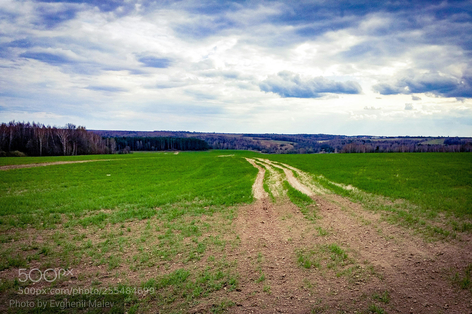 LG G3 sample photo. Russia photography