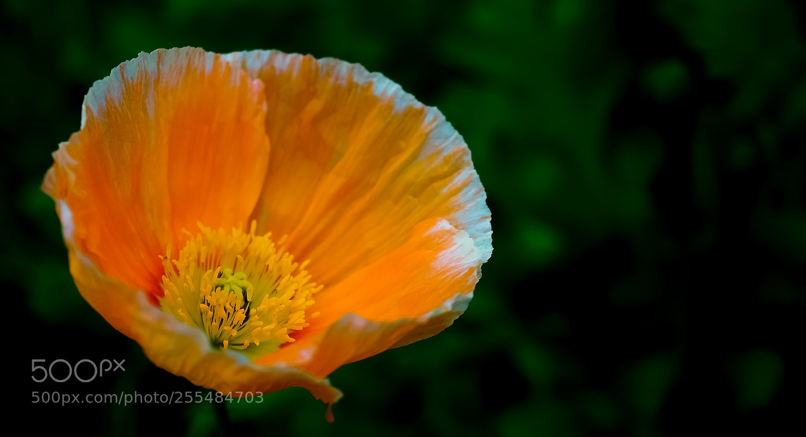 Sony a6000 sample photo. Beauty in nature photography