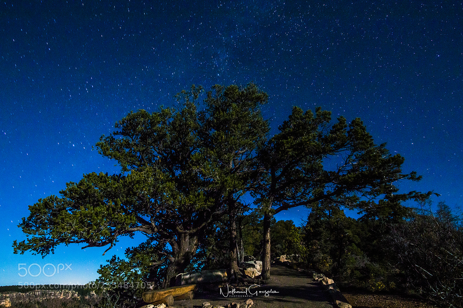 Canon EOS 70D sample photo. Night sky photography