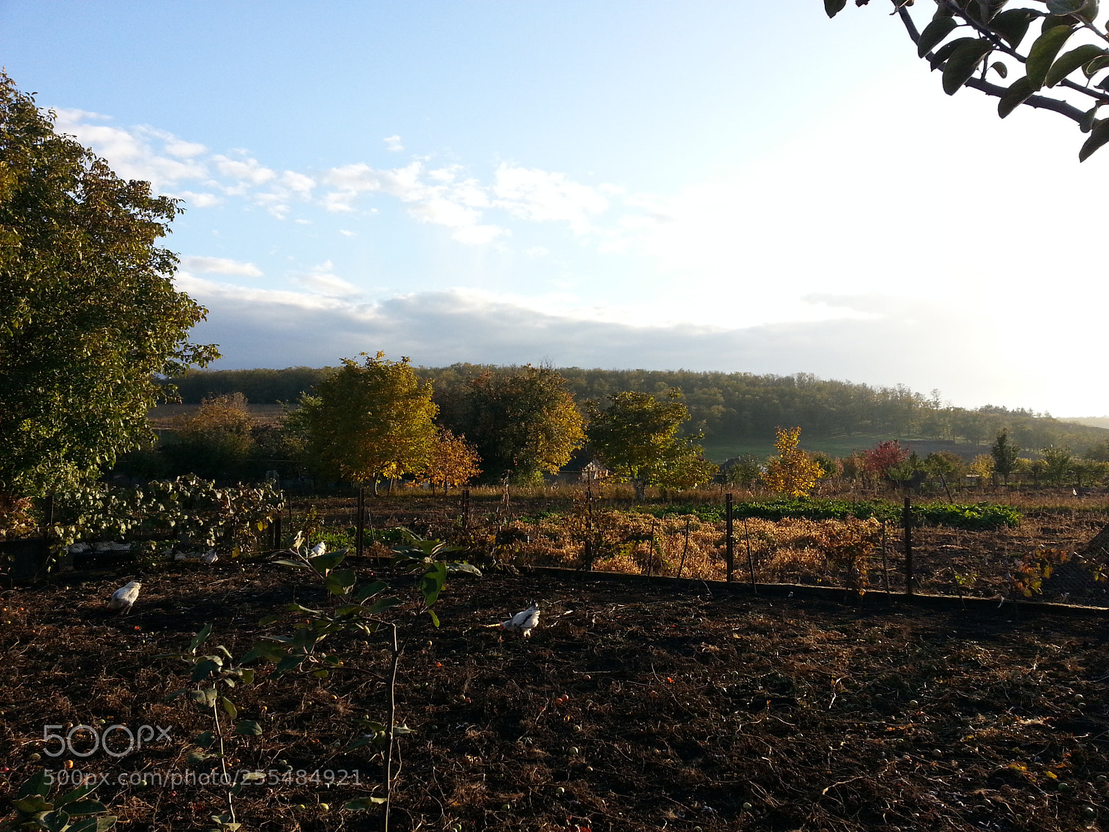 Samsung Galaxy S3 sample photo. Untitled photography
