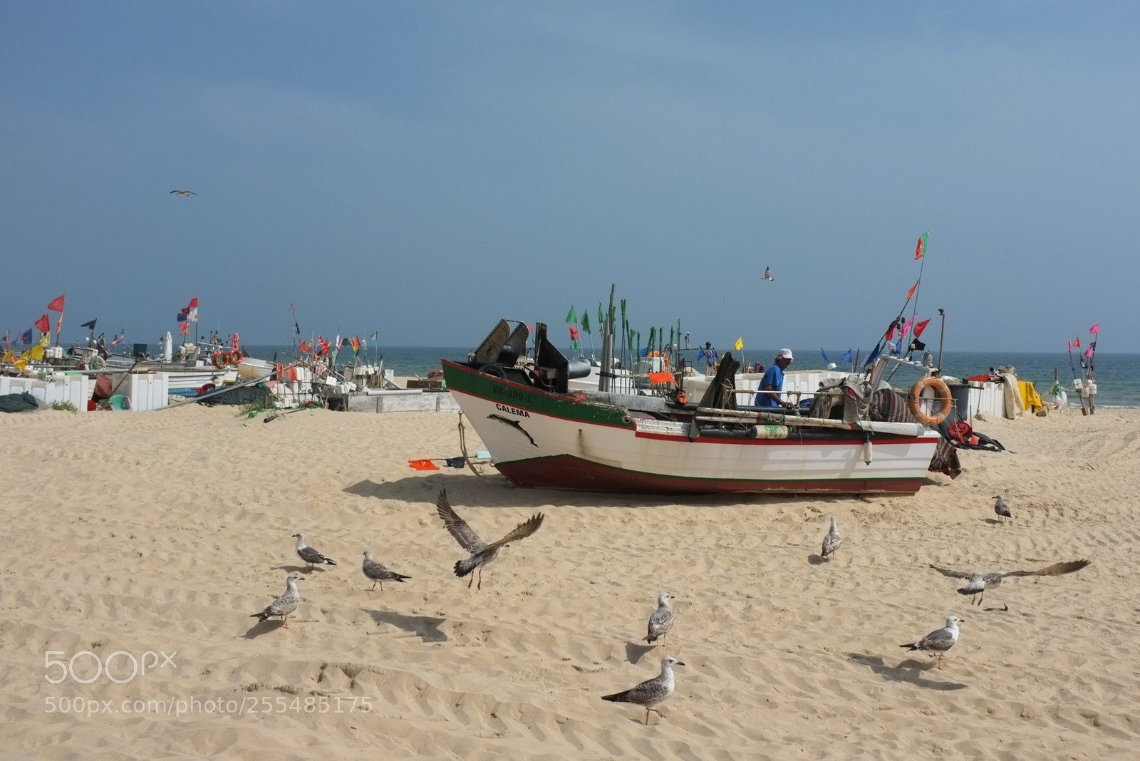 Fujifilm FinePix X100 sample photo. Monte gordo photography