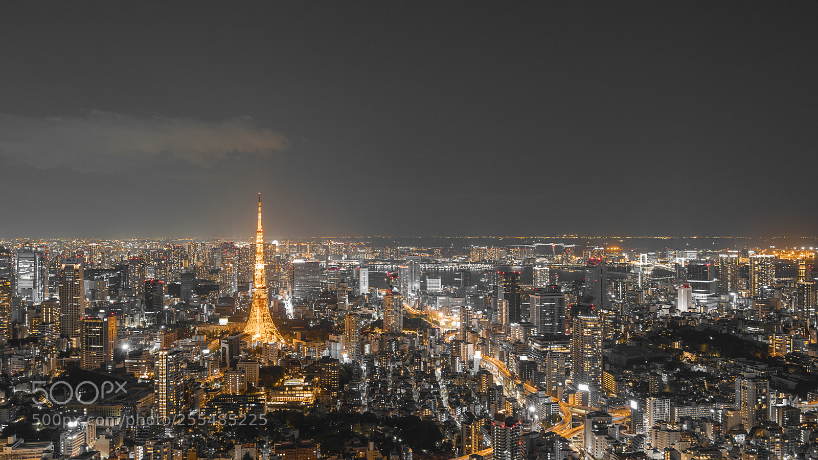 Sony a7R II sample photo. Tokyo photography