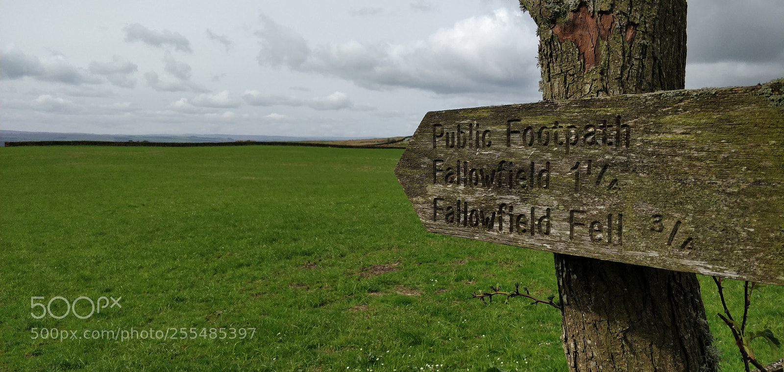 OnePlus 5 sample photo. Cumbria, england photography