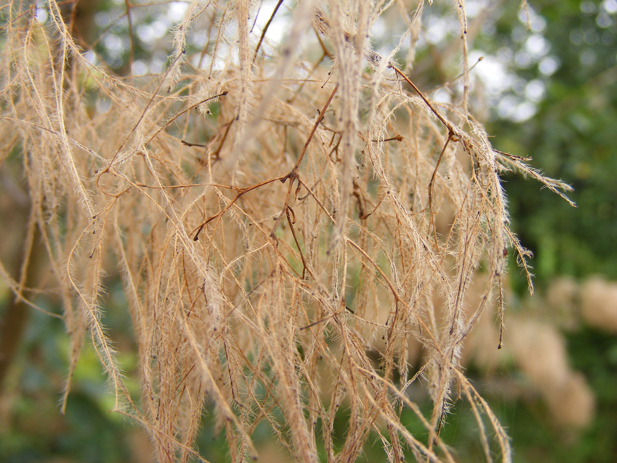 Fujifilm FinePix S5700 S700 sample photo