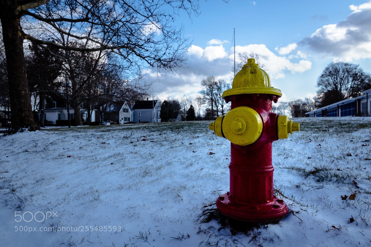 Nikon D3300 sample photo. Whitman colors photography
