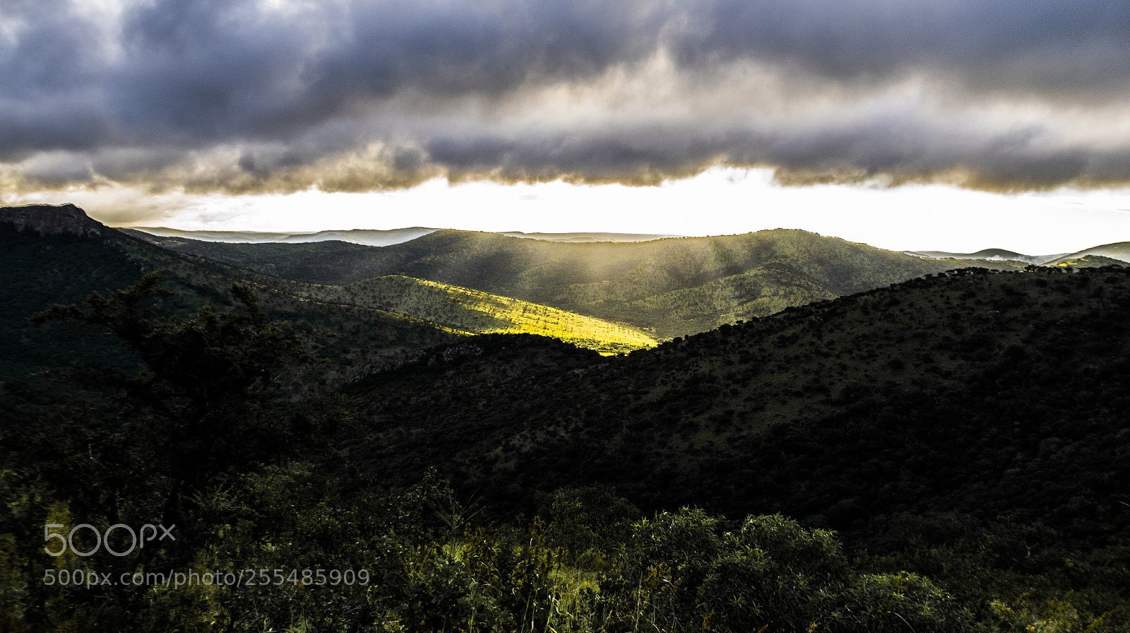 Nikon D3100 sample photo. God rays photography