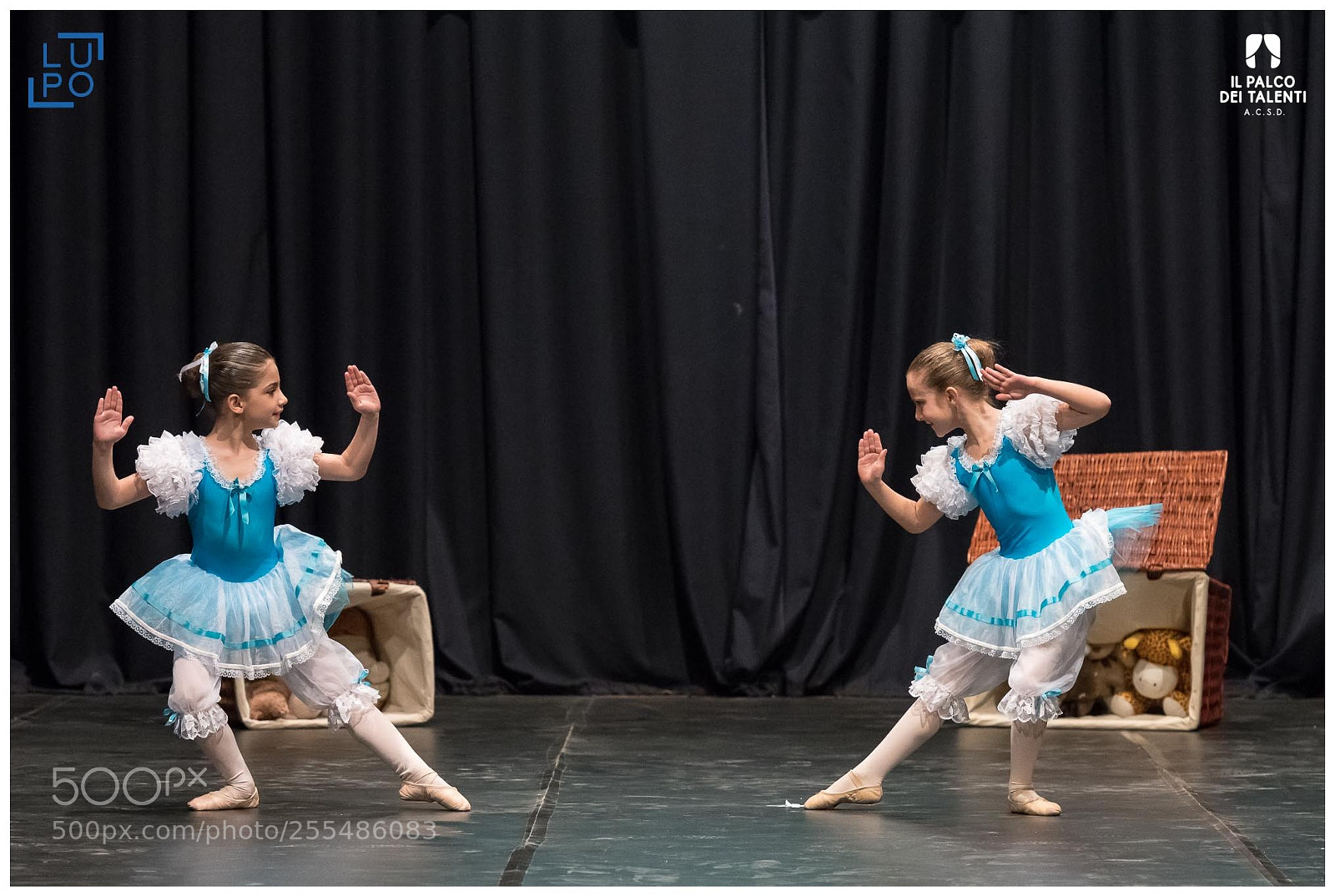 Nikon D850 sample photo. Classica - passo a photography