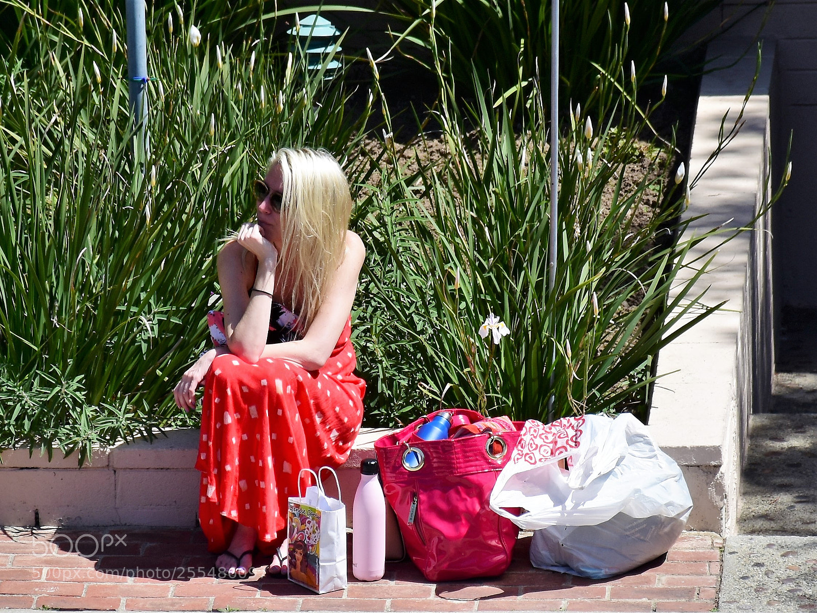 Nikon D7200 sample photo. Waiting photography