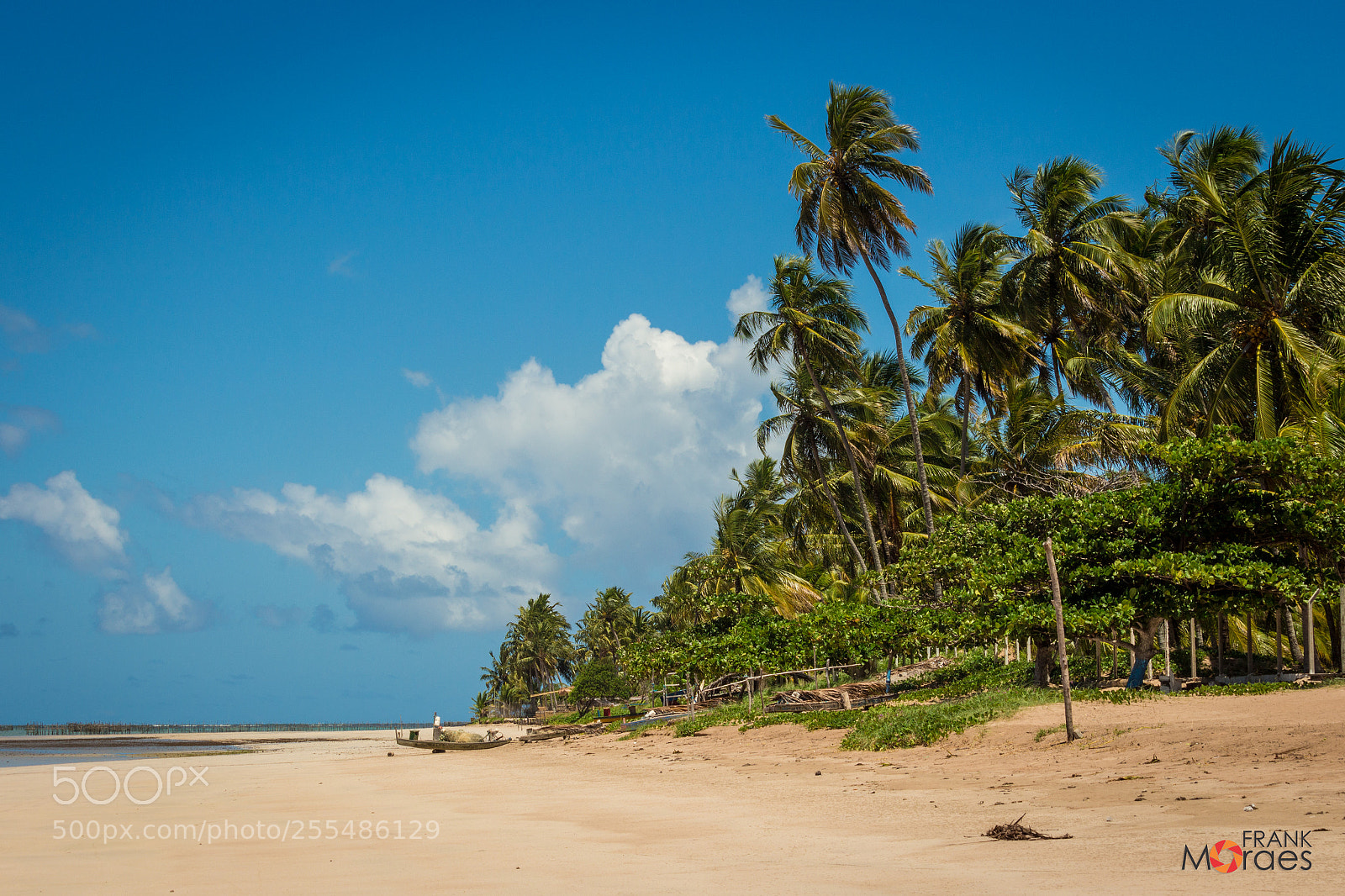 Canon EOS 700D (EOS Rebel T5i / EOS Kiss X7i) sample photo. Marceneiro's beach - alagoas photography