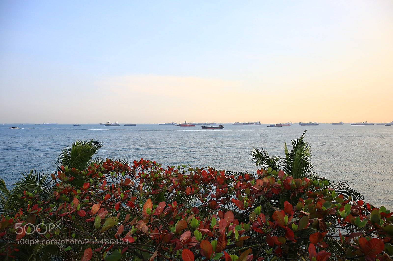Canon EF 24-70mm F4L IS USM sample photo. The southernmost point of photography