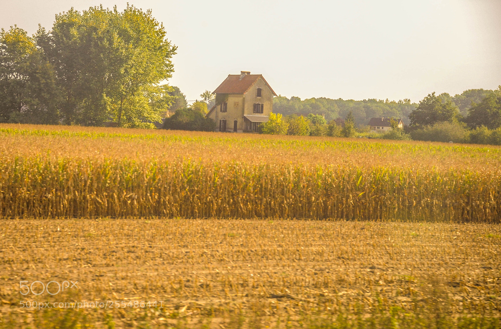 Nikon D3 sample photo. Lyon, france photography